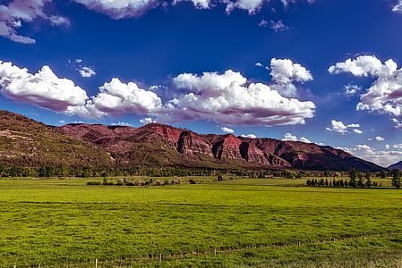 Colorado, planine, dolina, livada, pastoralni, goveda, farma