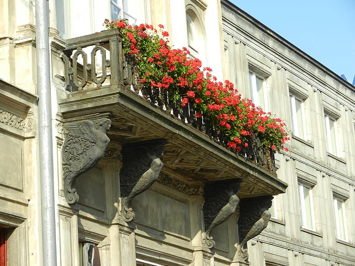 varanda, flores, florido, persianas, cidade, Kamienica, edifício