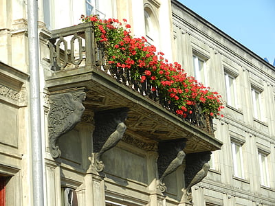 balkon, blomster, blomstret, skodder, City, Kamienica, bygning