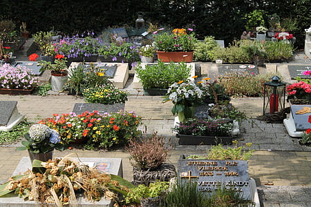 Cementerio, flores, muerte