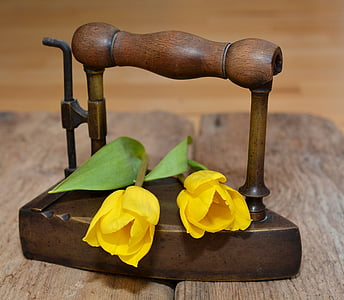 Tulip, flor, schnittblume, flor de primavera, amarillo, flor amarilla, madera