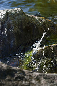 vode, kamena, štrcanje, zelena, prirodni, stijena, tekućine