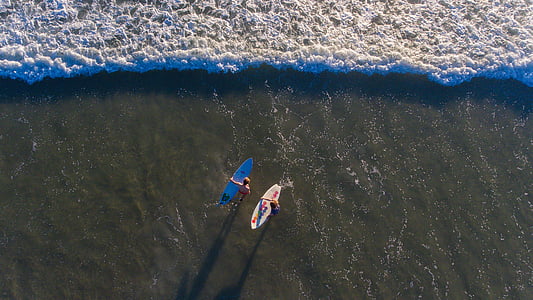 iki, kişi, Holding, sörf tahtası, vücut, su, Hava