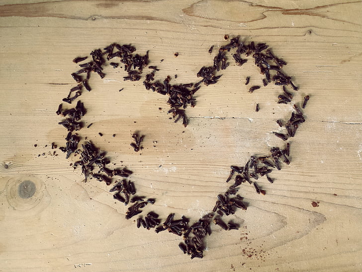 heart, love, feeling, valentine's day, cloves, spices, wood