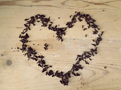 心, 愛, 感じ, バレンタインの日, クローブ, スパイス, 木材