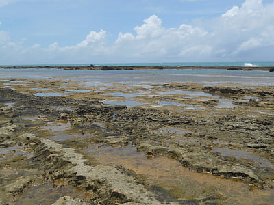 korallrev, stenar, stranden