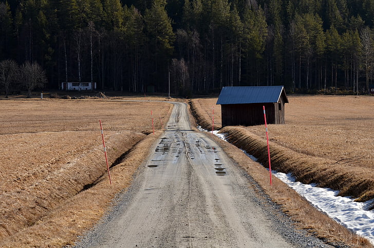 road, landscapes, nature