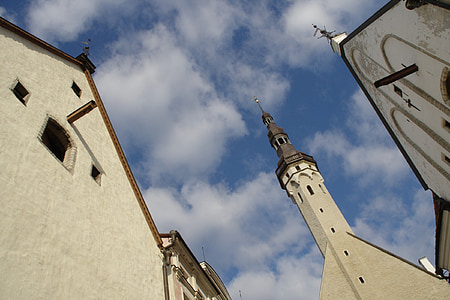 mesto, Tallinn, radnica, veža, town hall tower, budova, historicky
