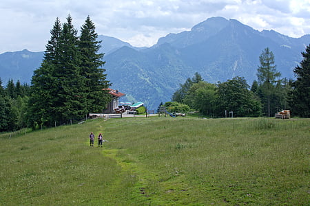 景观, 自然, 巴伐利亚, 上部巴伐利亚, chiemgau, 山脉, alm