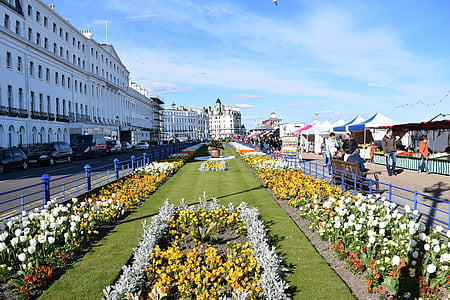 gėlės, gatvė, pastatų, saulėta, dangus ir debesys, Eastbourne, Jungtinė Karalystė