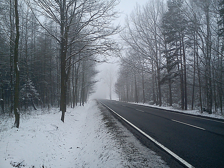 Inverno, caminho, neve, árvore, paisagem, o silêncio, natureza