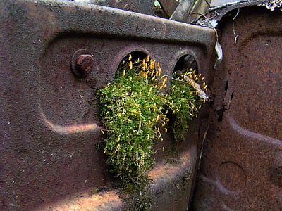 moho, Moss, chatarra de, residuos de automoción trituradora, abandonado, antiguo