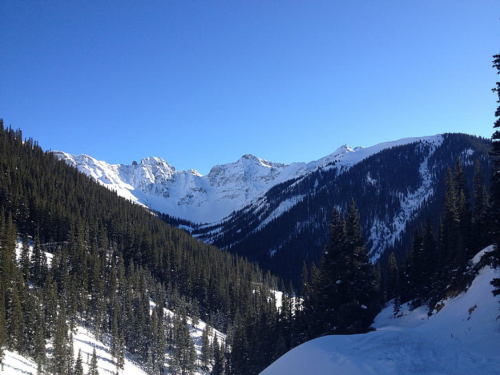 blue sky, mountains, winter, snow, peaks, pine trees, alpine