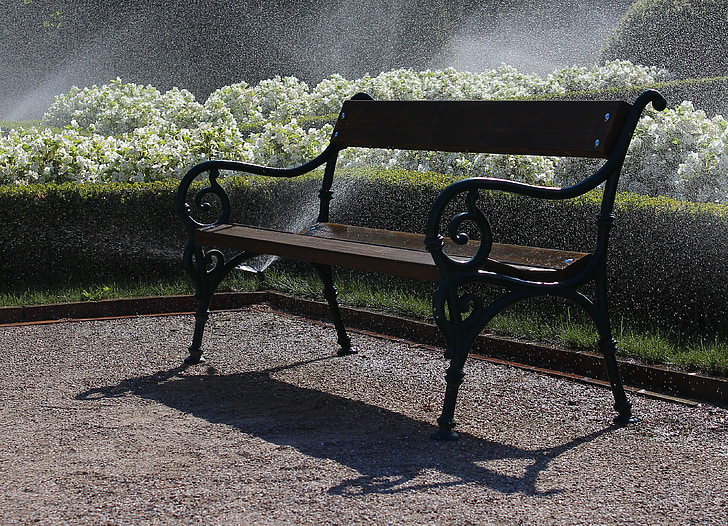 bench, park, water