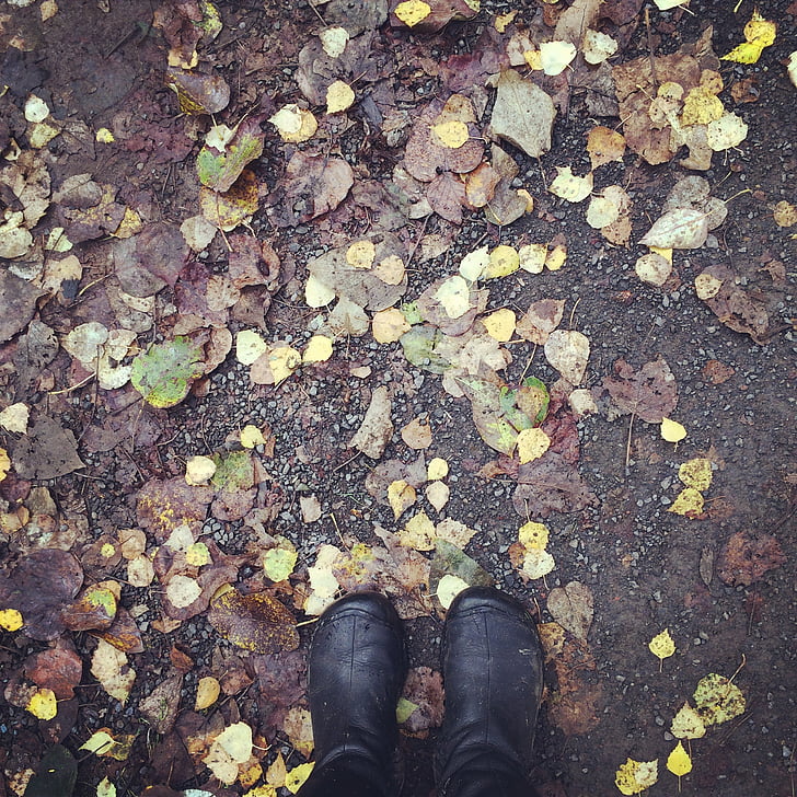 jeseni, padec, škornji, noge, oranžna, narave, sezona