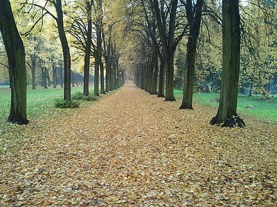 otoño, Potsdam, Sanssouci, Klausberg, lugares de interés, Castillo, Estado de ánimo