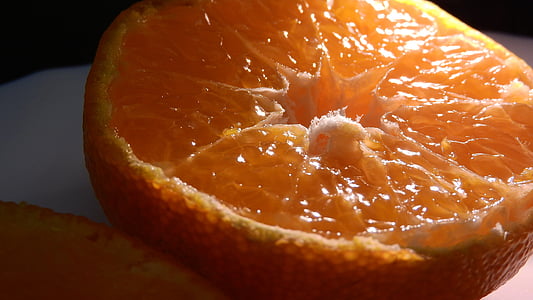 taronja, tallar, fruita, la carn, detallada