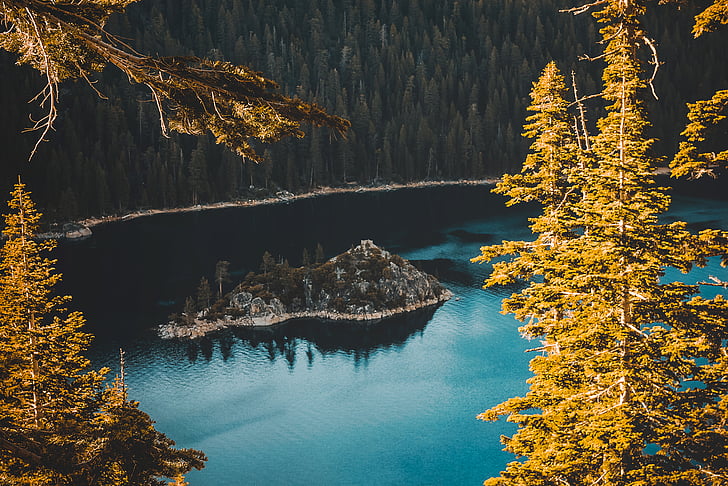 lake, view, daytime, forest, tree, water, water forest