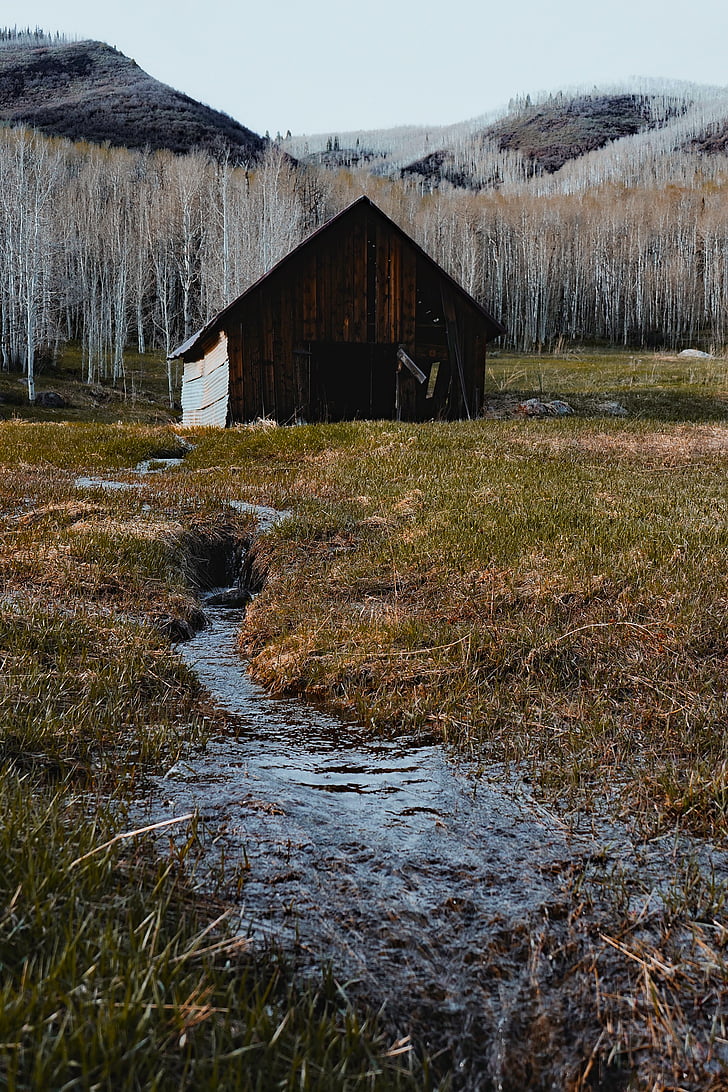 Colorado, Grange, en bois, ferme, Rustic, montagnes, paysage