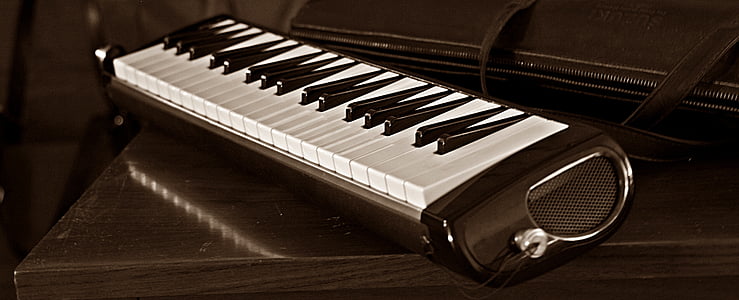 melodika, melodion, Suzuki pro-37, musikalske, klaver, musik, musikinstrument