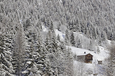 winter, Bergen, Chalet, hut, Woods, sneeuw, bos