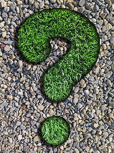 question, advisor, rush, pebbles, question mark, nature, green