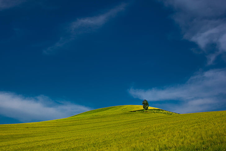 Rolnictwo, niebieski, błękitne niebo, spokoju, chmury, wsi, upraw