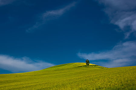 agriculture, blue, blue sky, calm, clouds, countryside, crop