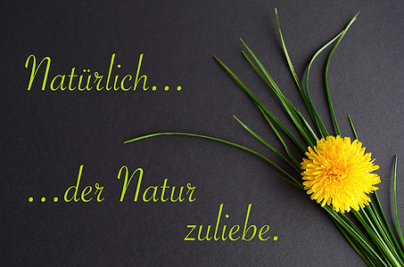 izjava, ljubav prema prirodi, naravno, Maslačak, vlati trave