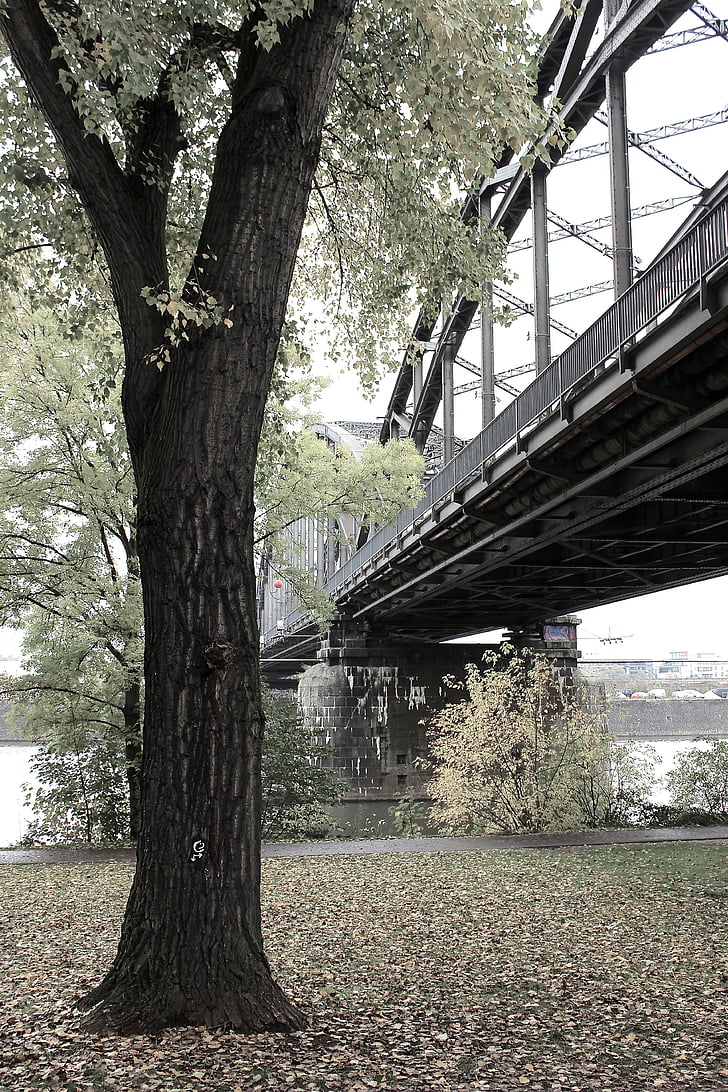 most kolejowy, Most, stali, Architektura, Frankfurt nad Menem, Most - człowiek struktura, drzewo