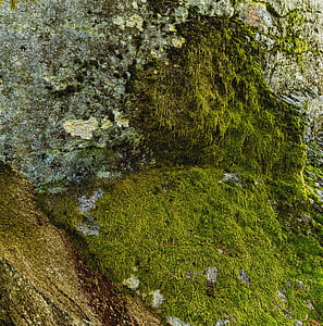 texture, rock, cliff, moss, structure, background, stone