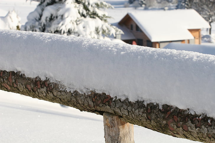 сняг, зимни, студено, ограда, покрити със сняг, пряспа
