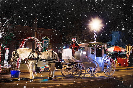horse carriage, wagon, christmas, winter, snowing