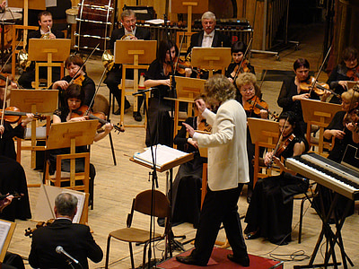 Orchestre symphonique, concert, salle philharmonique, musique, violon, violoncelle, instruments à cordes
