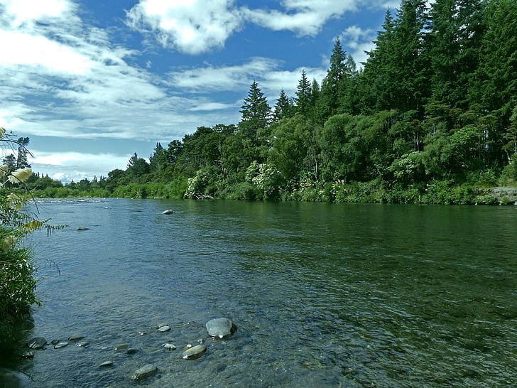 scenic, river, nature, water, environment