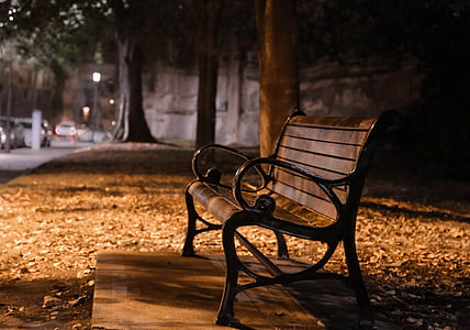bench, dark, night, autumn, tree, outdoors, nature