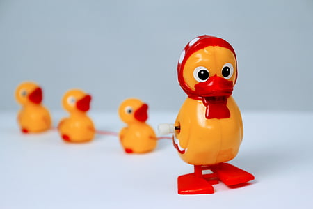 duck, toys, lucky duck, yellow duck, duck children, studio shot, toy