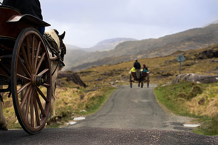 ireland, gap of dunloe, wagon, horse, horse drawn carriage, coach, mountains