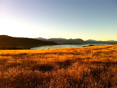tó, a mező, hegyek, Új-Zéland, kültéri, naplemente, táj