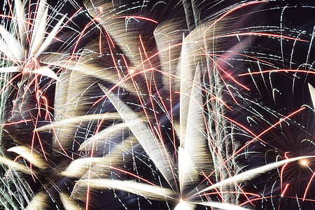 fireworks, red, violet, black, night, firework display, firework - man made object