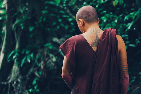 monjos, tatuatge, esquena, planta, arbre, fulles, natura