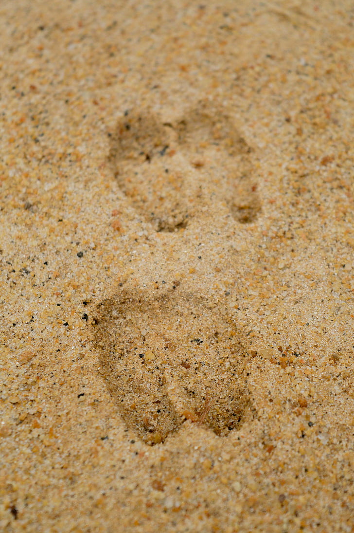 kuva, ruskea, Sand, jalanjälki, seurata, Luonto, kuvioitu