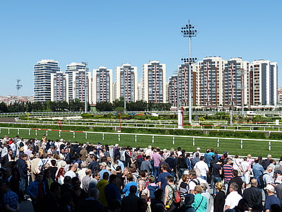 courses de chevaux, Gallop, sport, concours, Istanbul, Turquie, Ride