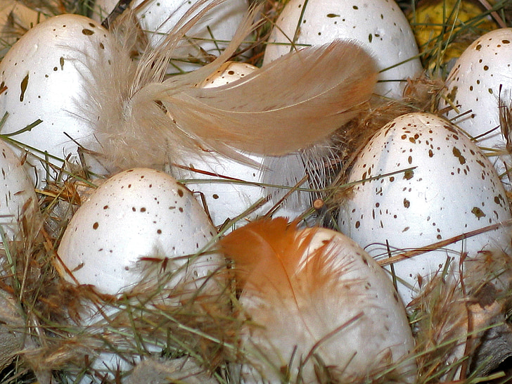 Πασχαλινά αυγά, Πάσχα φωλιά, Πάσχα, Πασχαλινό αυγό, άνοιξη, διακόσμηση, πολύχρωμο