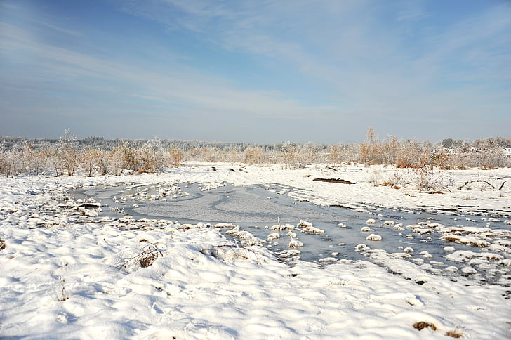 landscape, peat, moor, snow, hoarfrost, trees, cold