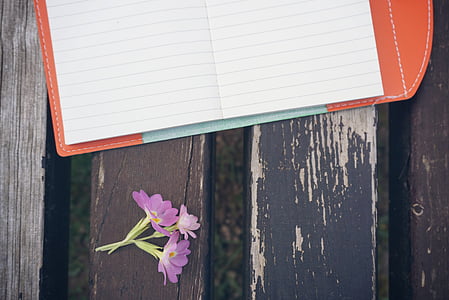 Sitzbank, Blume, Notebook, Stift, aus Holz, Notizblock, Tisch aus Holz