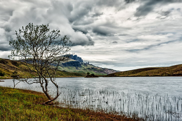 небо, хмари, дерево, вод, озеро, отвір, Шотландія