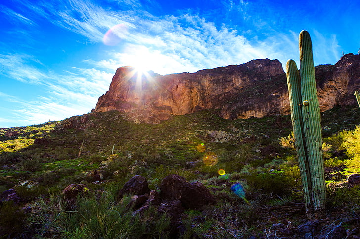 cactus, cliff, clouds, grass, hill, landscape, light