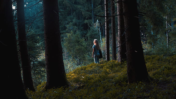 vrouw, blauw, shirt, Midden, bos, bomen, plant