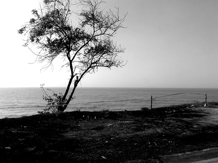 landskab, havet, Beach, sand